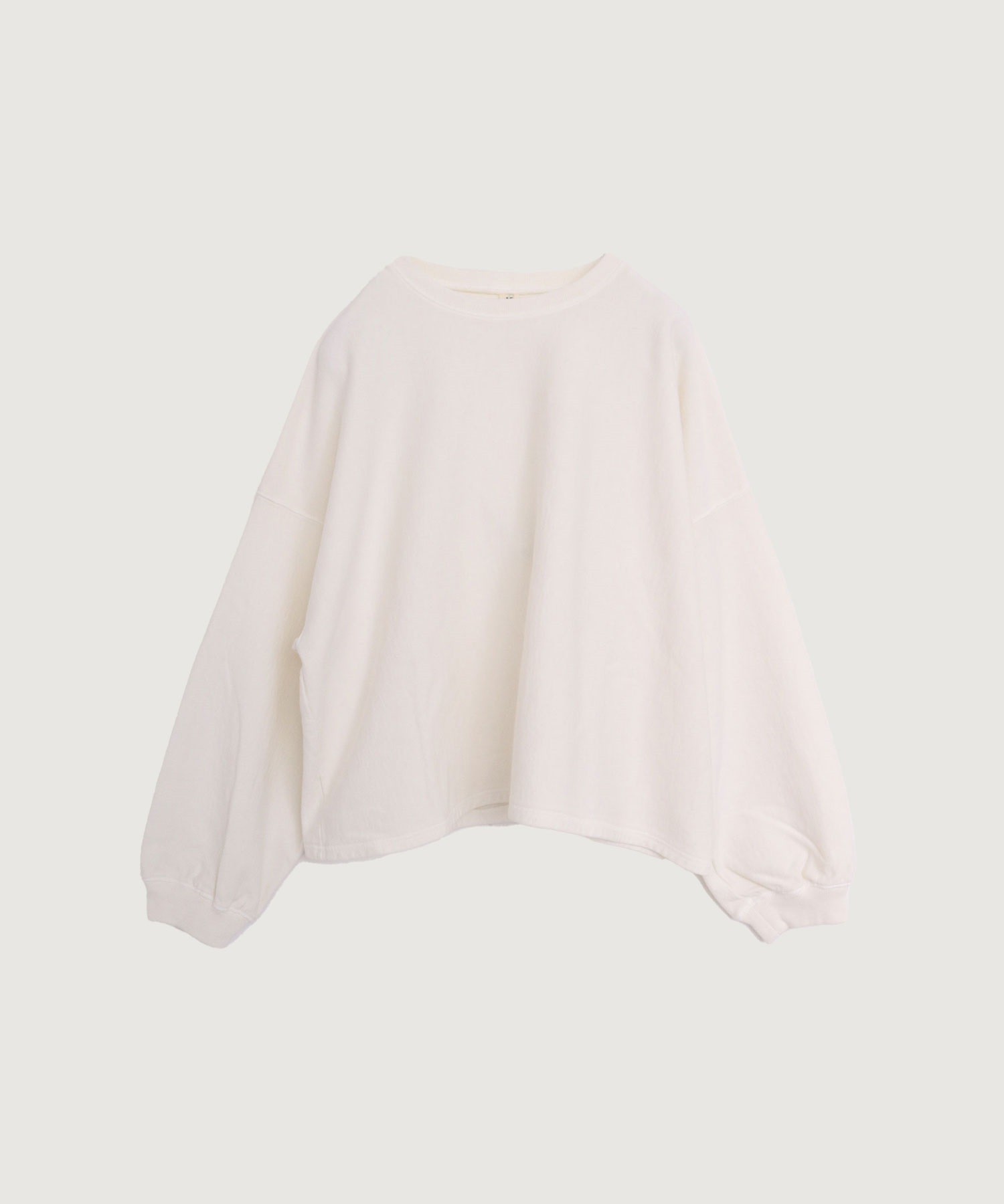 pigment bio pullover