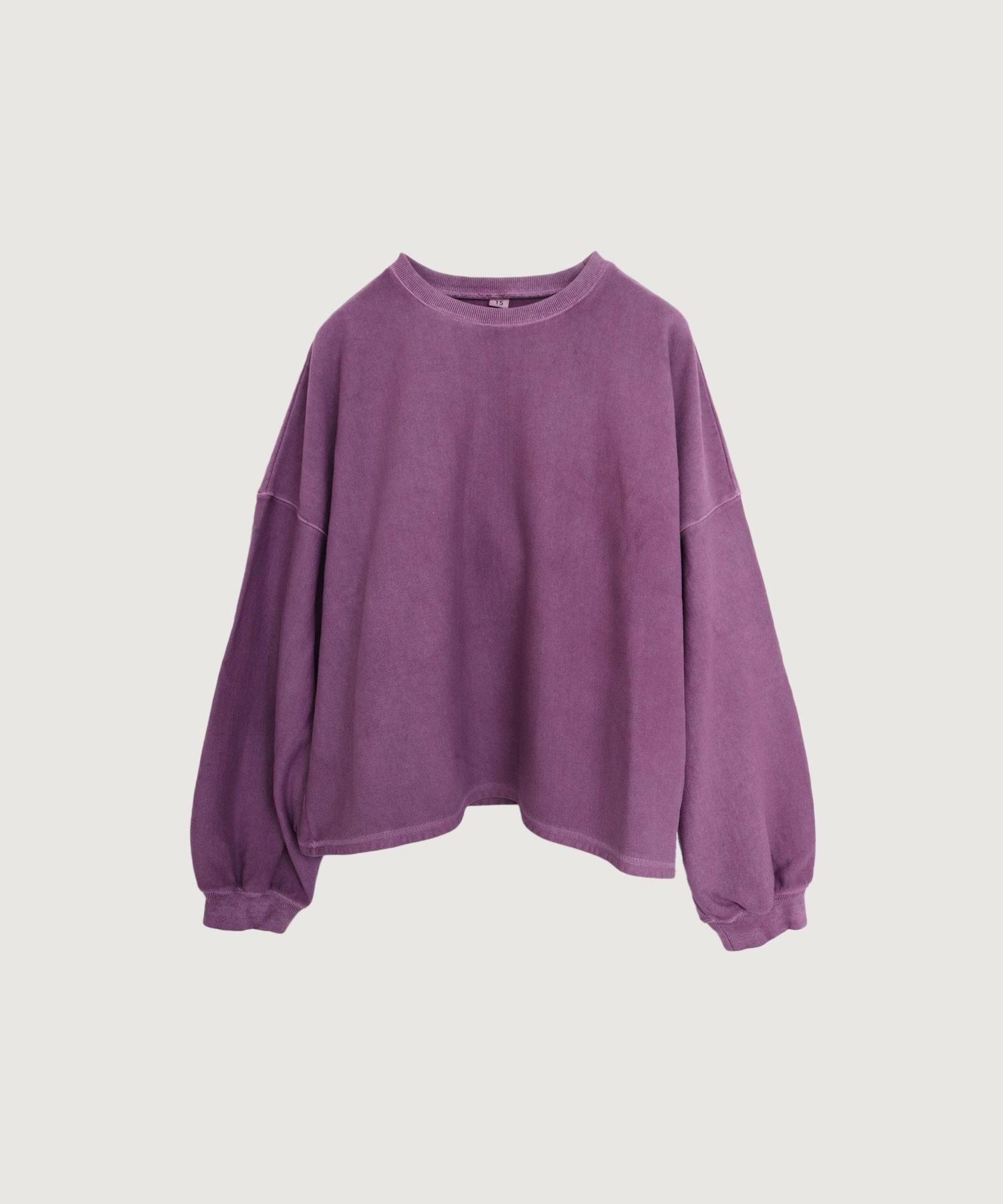 pigment bio pullover