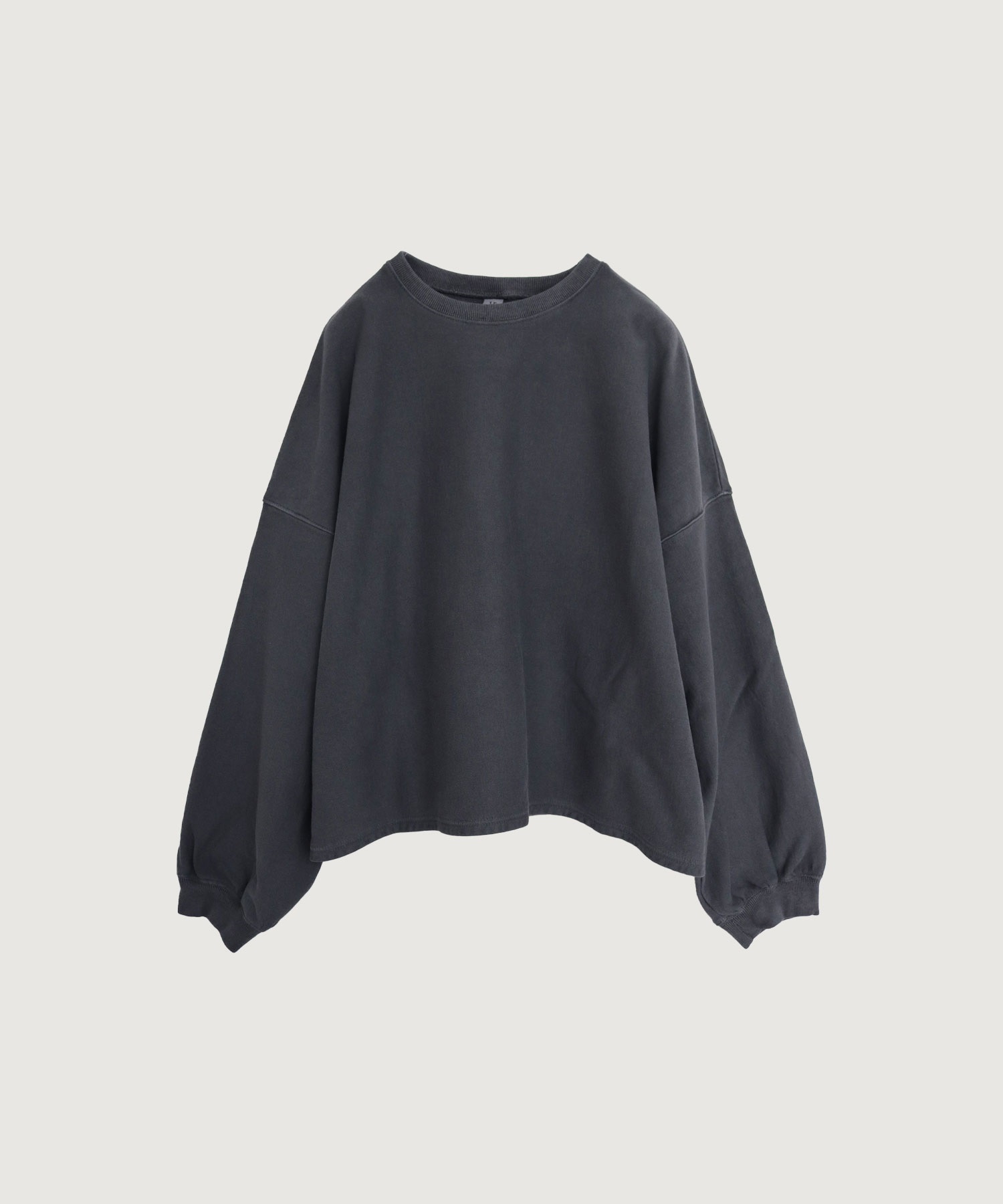 pigment bio pullover