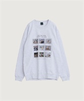 The duck chronicles sweat Lsize(アッシュグレー-F)