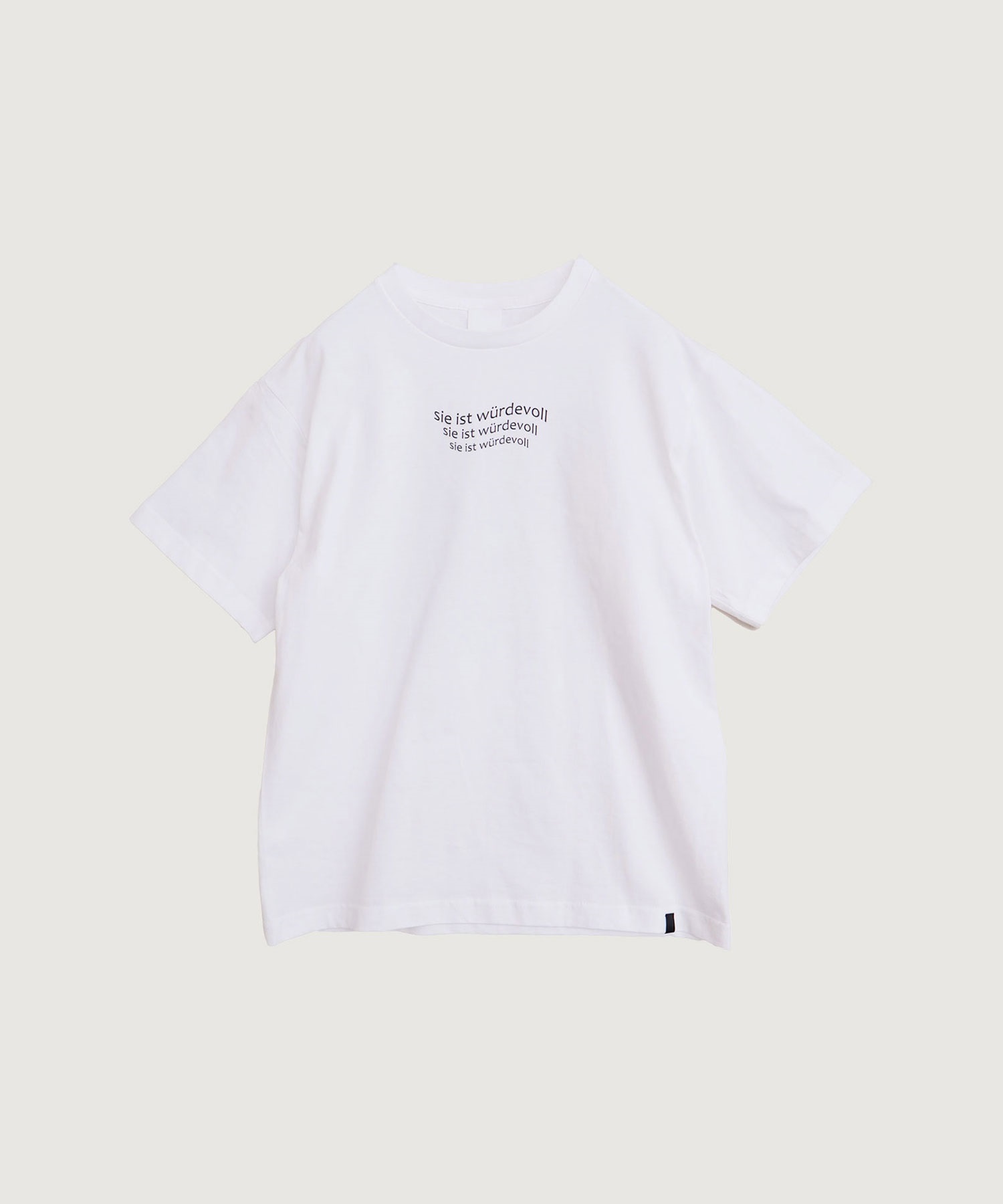 【予約販売】ファインジャージー天竺 ウェーブロゴ Tシャツ(シロ-F)