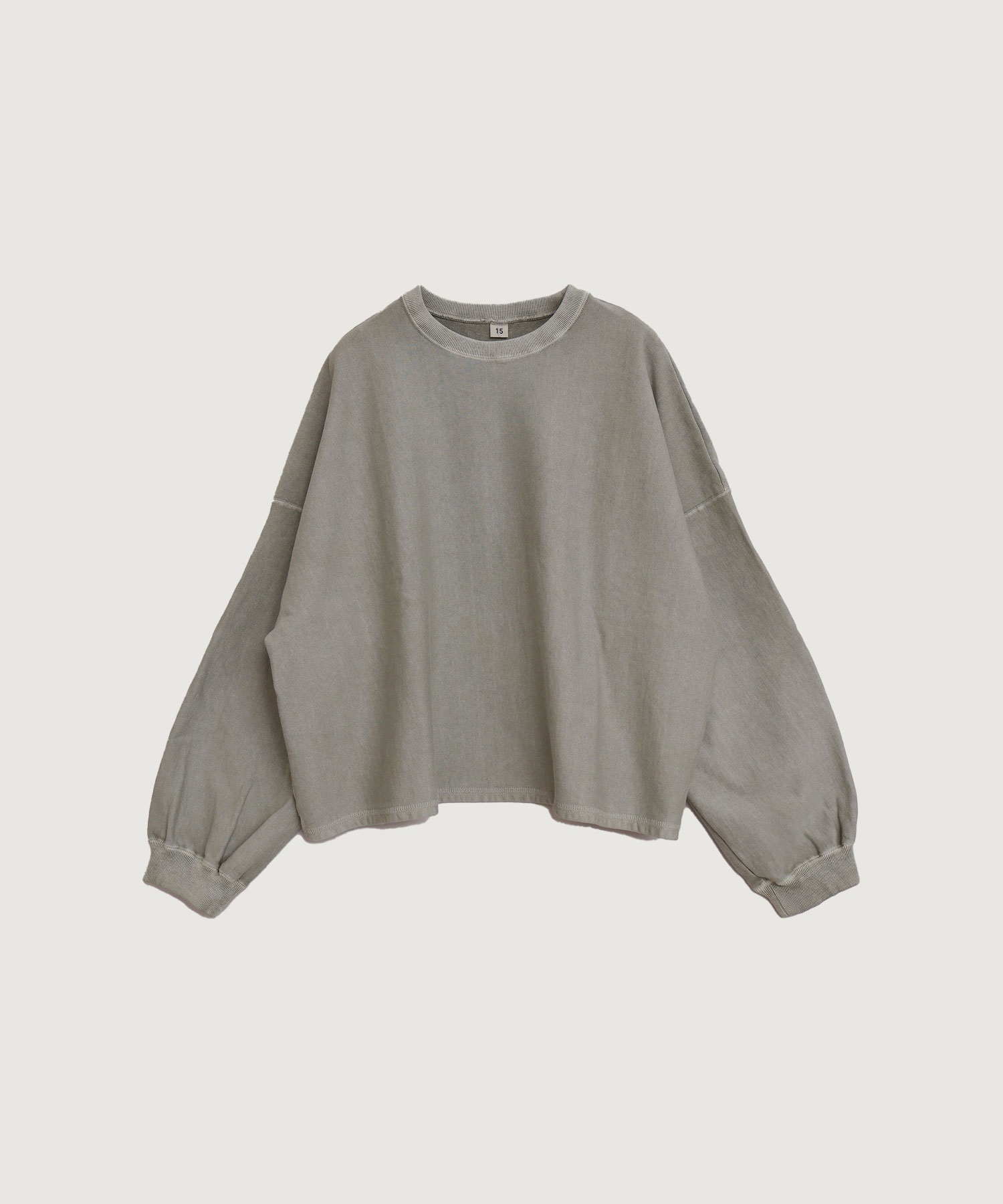 pigment bio pullover