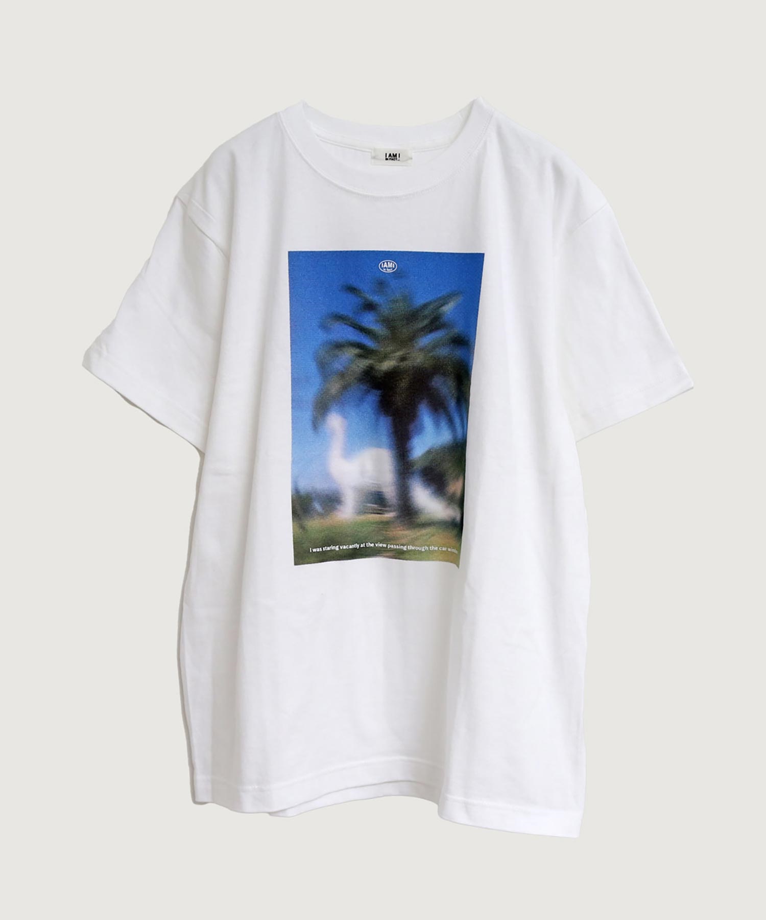 CAR WINDOW Tシャツ